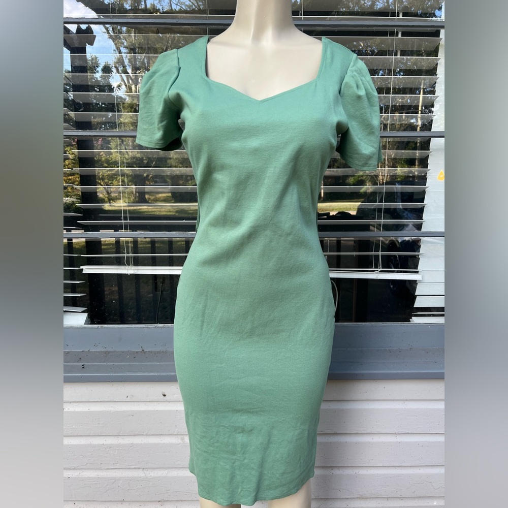 Elegant pastel Green Women's Dress